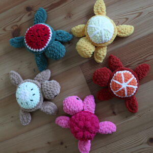 Fruit turtles