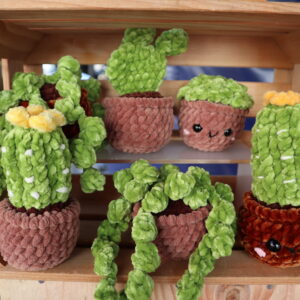 Succulents